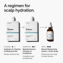 Natural Moisturizing Factors + HA for Scalp - Smooth Finish