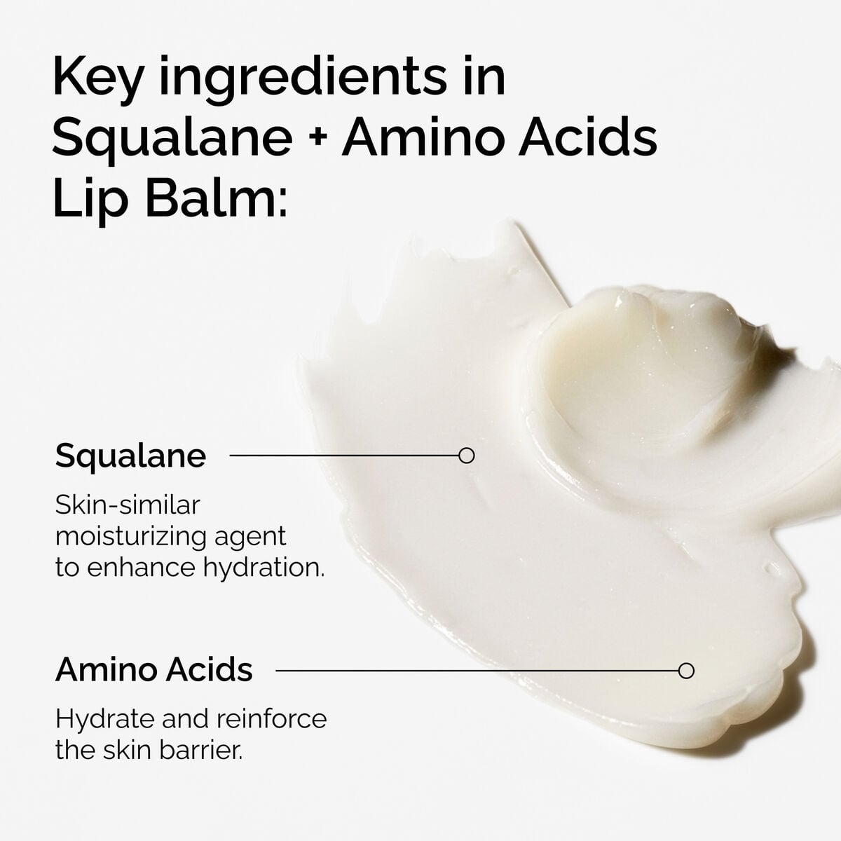 Squalane + Amino Acids Lip Balm - Easy Blend