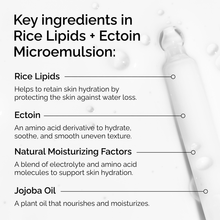 Rice Lipids + Ectoin Microemulsion - Ready Routine
