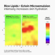 Rice Lipids + Ectoin Microemulsion - Home Choice